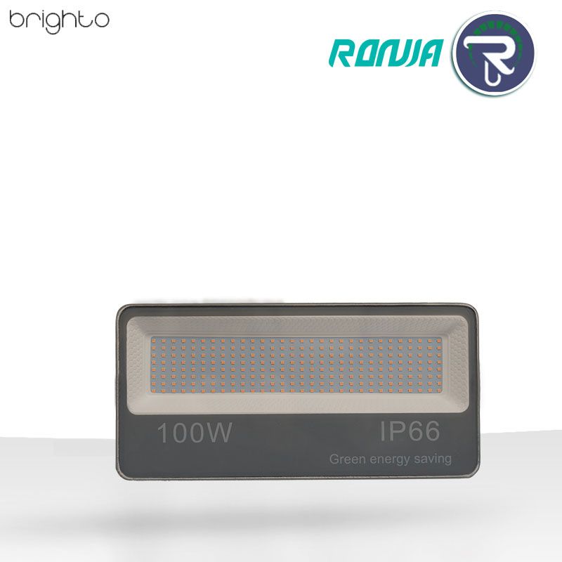 پروژکتور 100 وات رونیا IP65 مدل TF46